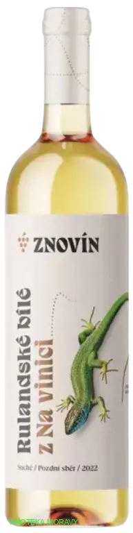 Rulandske bílé 2022 - pozdní sběr