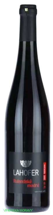 Rulandské modré 2021 - výběr z hroznů