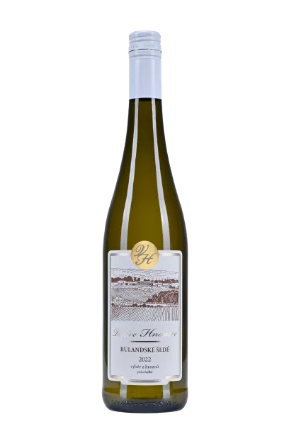 Rulandské šedé 2023 - výběr z hroznů