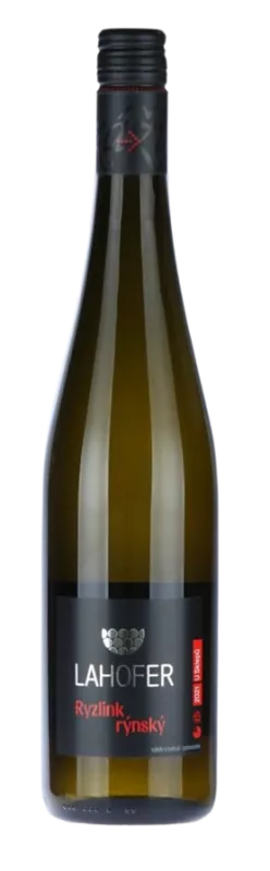 Ryzlink rýnský 2021 - výběr z bobulí