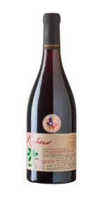 Rulandské modré 2019 - výběr z hroznů