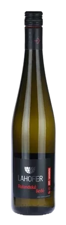 Rulandské šedé 2021 - výběr z bobulí