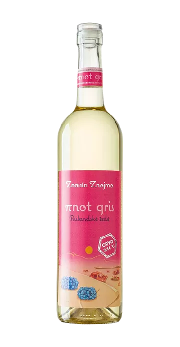 Rulandské šedé 2021 - výběr z hroznů