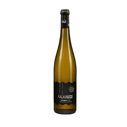 Vinařství Burian Sauvignon 2022 pozdní sběr 0,75 l