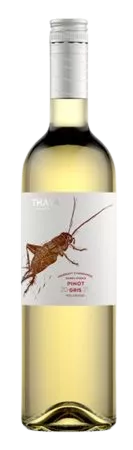 Vinařství Thaya Pinot Gris 2022 pozdní sběr 0,75 l