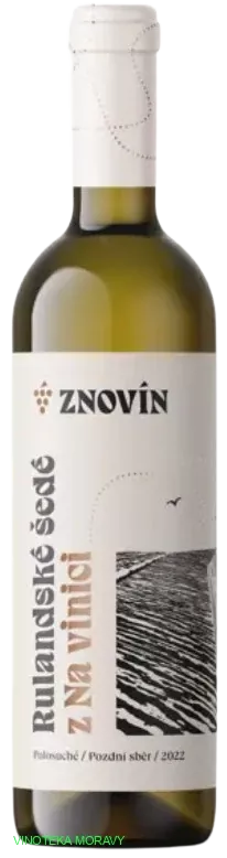 Rulandské šedé 2022 - pozdni sběr